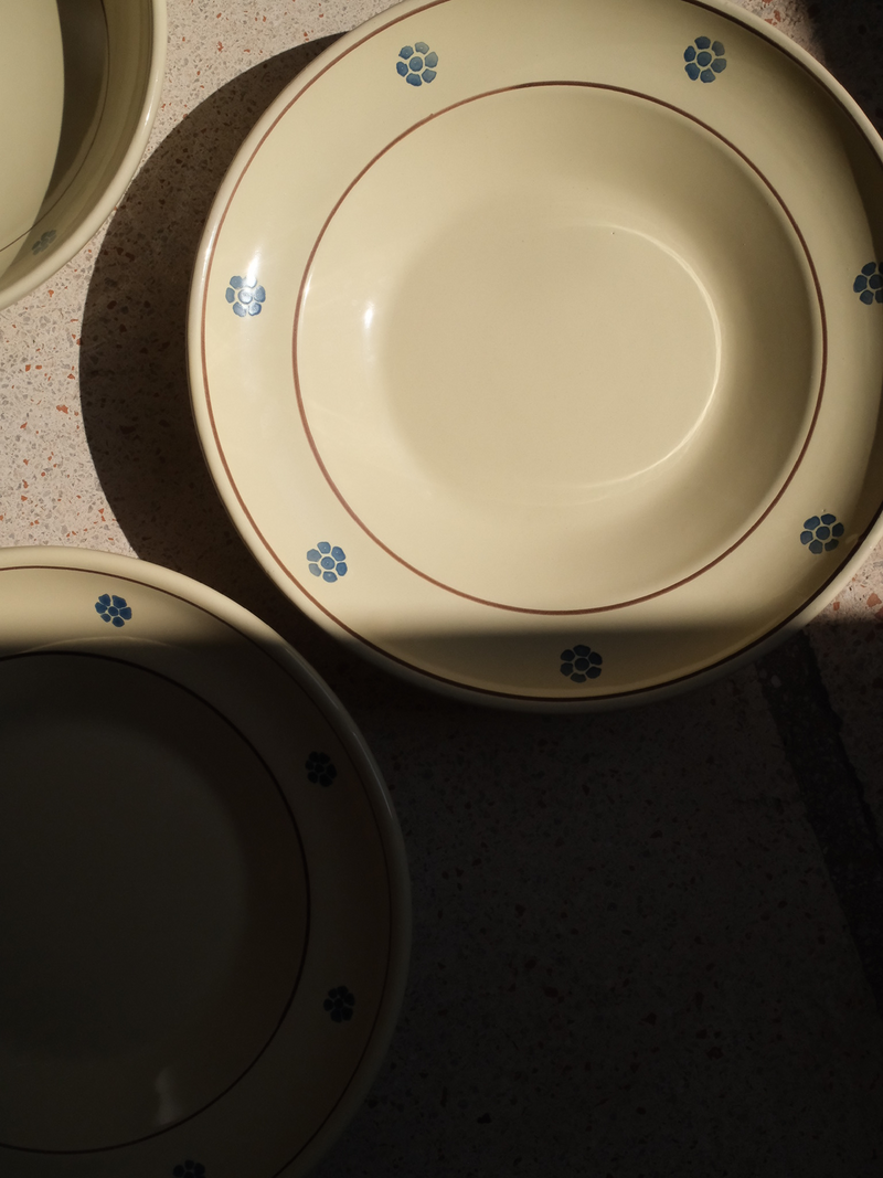 No 30. Hand Painted Rimmed Dinner Plate