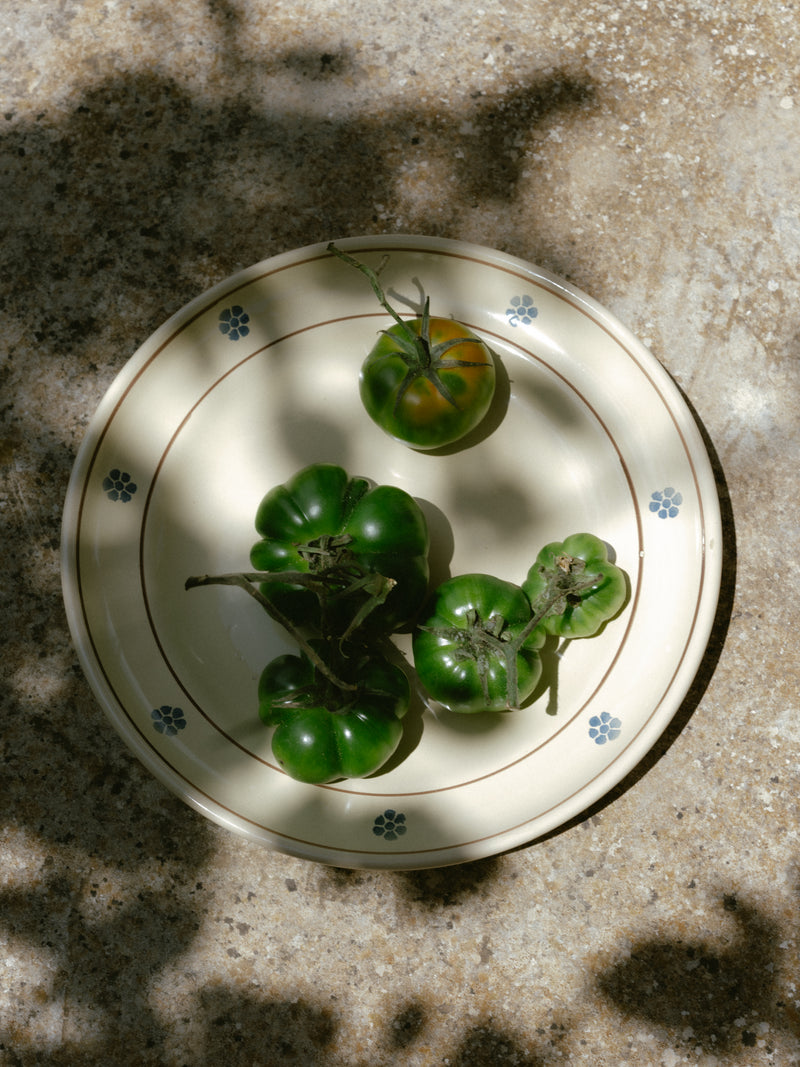 No 30. Hand Painted Rimmed Dinner Plate