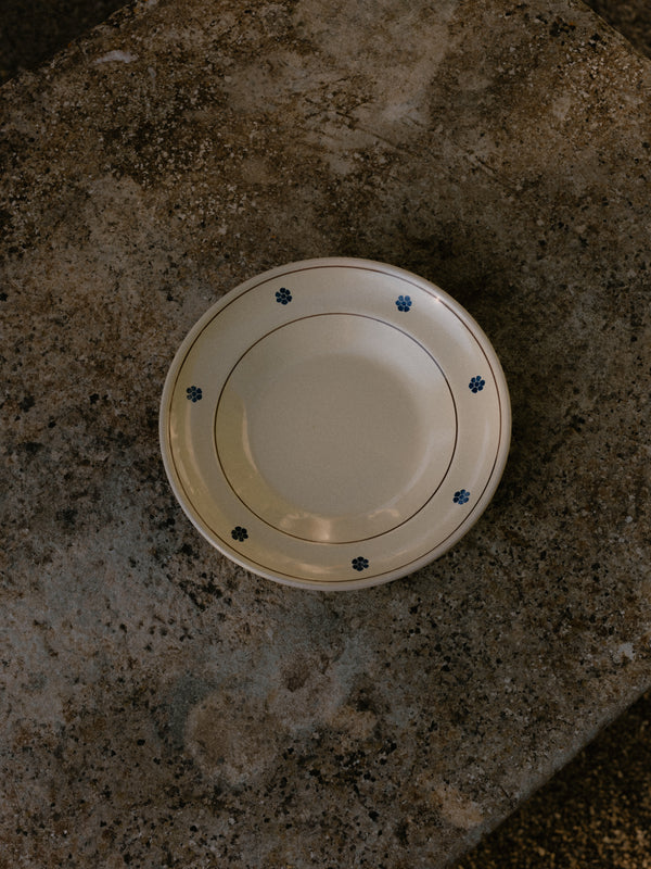 No 30. Hand Painted Rimmed Dinner Plate